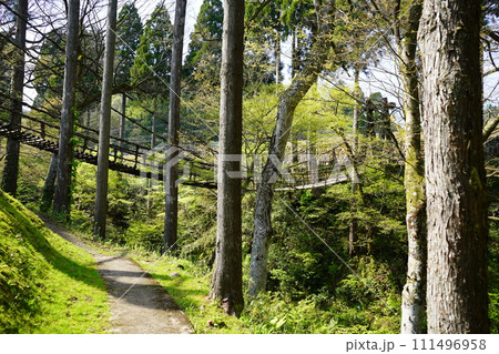 福井のかずら橋 111496958