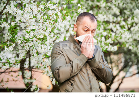 Man allergic suffering from seasonal allergy at spring in blossoming garden at springtime. Man sneezing and blowing nose using nasal handkerchief in front of blooming tree. Spring allergy concept. Man allergic suffering from seasonal allergy at spring in blossoming garden at springtime. Man sneezing and blowing nose using nasal handkerchief in front of blooming tree. Spring allergy concept. 111496973