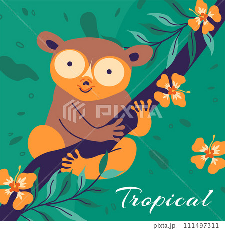 Tropical tarsier, Asia nocturnal arboreal creature 111497311