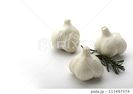 にんにく 白背景 にんにく 白背景 111497374