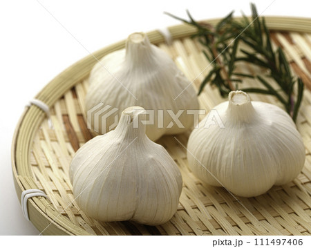 にんにく　白背景 111497406