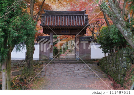 紅葉に包まれた山門 111497611