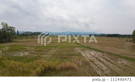 Agricultural Field, Horizon, Farm, Grass, Rural Scene 111498471
