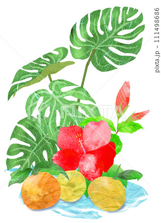 観葉植物とオレンジの南国イラスト 111498686