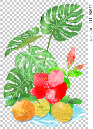 観葉植物とオレンジの南国イラスト 111498686