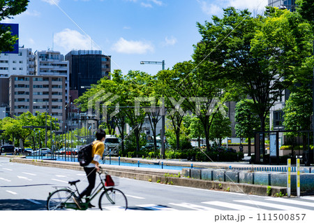 京都府　京都市　水の浮島　関西　近畿地方　都市　夏　観光　神社　仏閣　伝統文化　都　京都市役所前駅 111500857