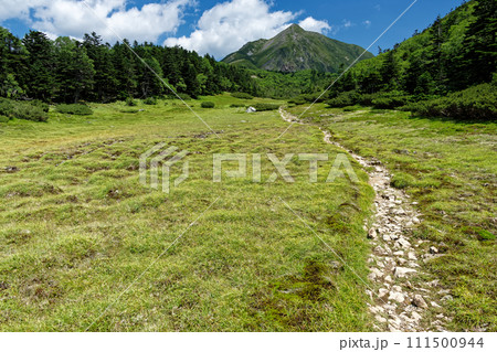 亀甲状土の草原と南アルプス・上河内岳の眺め 111500944