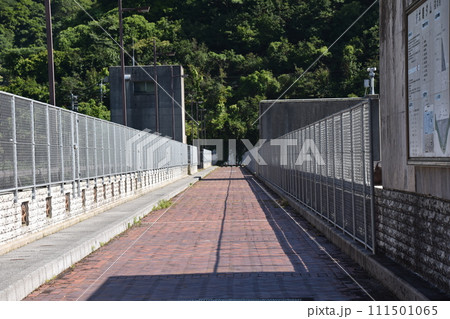 緑に囲まれた歩道橋 緑に囲まれた歩道橋 111501065