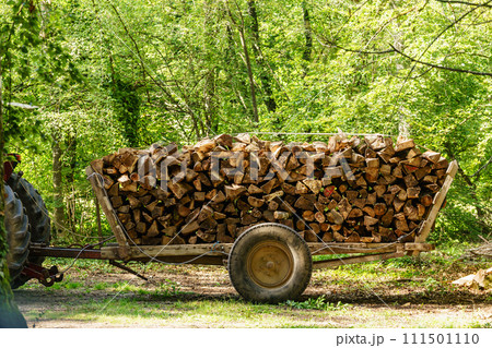 Pile of wood wooden logs on wagon in forest 111501110