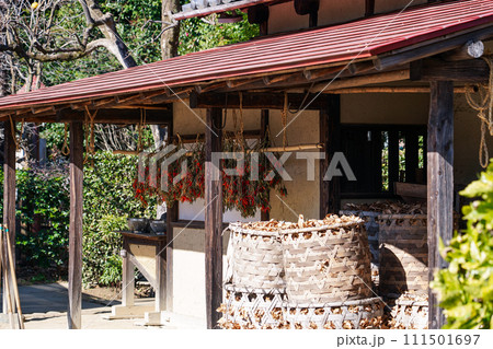 農家の軒先 天日干し唐辛子 111501697