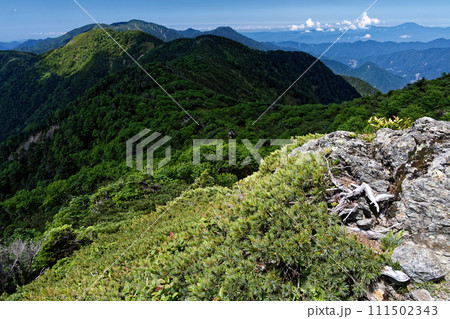 南アルプス・茶臼岳から見る光岳への山並みと恵那山遠望 111502343