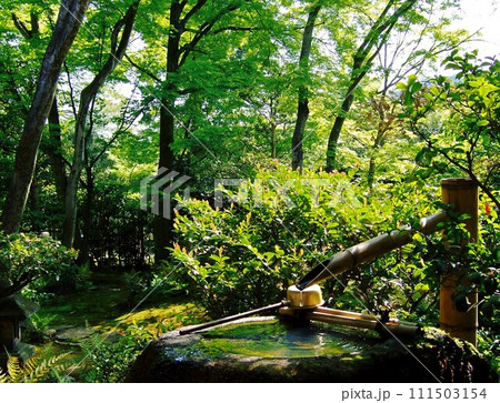 とある庭園の蹲 とある庭園の蹲 111503154