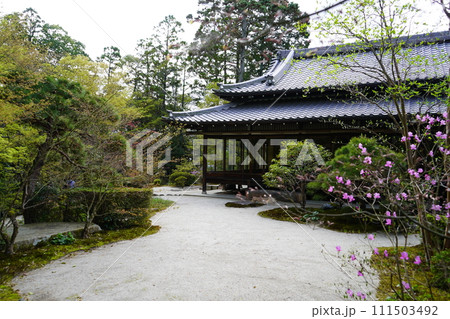 南禅寺 天授庵 南禅寺 天授庵 111503492