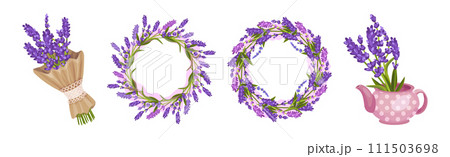 Bunch of Lavender Twigs and Branches Vector Set Bunch of Lavender Twigs and Branches Vector Set 111503698