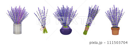 Bunch of Lavender Twigs and Branches Vector Set 111503704