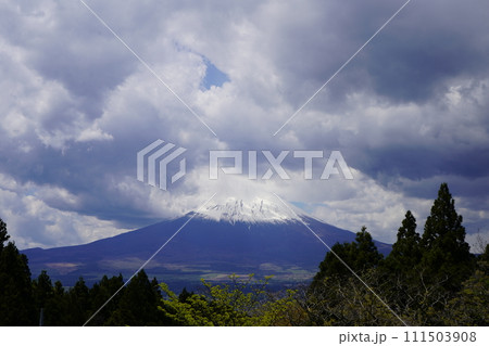 河口湖からの富士山 111503908