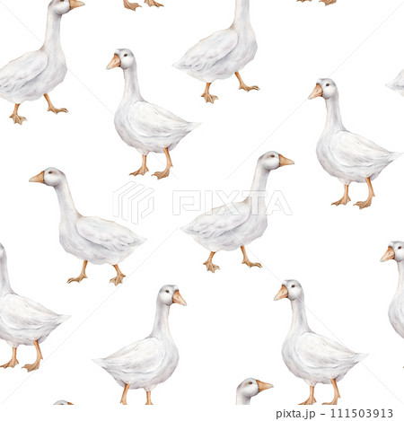 Watercolor seamless pattern with goose bird. Repeat pattern pastel color. Tender watercolor hand drawn illustration on a isolated on background. Domestic white and gray watercolor cute farm bird. 111503913