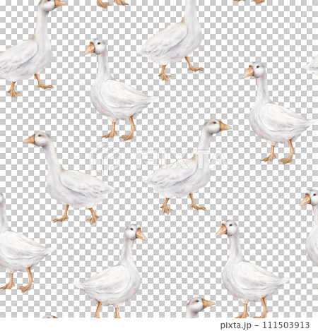 Watercolor seamless pattern with goose bird. Repeat pattern pastel color. Tender watercolor hand drawn illustration on a isolated on background. Domestic white and gray watercolor cute farm bird. 111503913