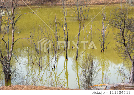 Green waste waters from a copper mine polluting  the environment. Geamana decantation lake, Romania 111504515