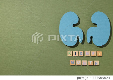 Kidney moon concept, kidneys on a green background. 111505024