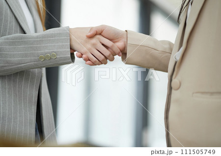 Close-up of Professional Handshake in Business Meeting. 111505749