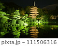 瑠璃光寺　国宝　ライトアップ　夜景 111506316
