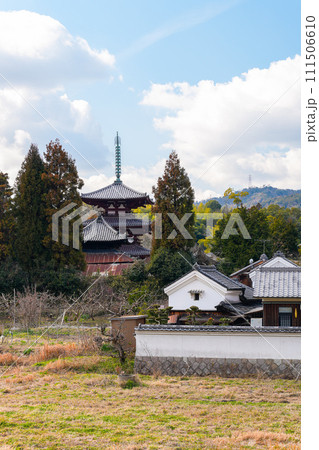【奈良県】斑鳩 法輪寺 (2024/02/07 撮影) 111506610