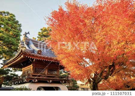 大津市、浮御堂のある満月寺の山門と紅葉 111507031