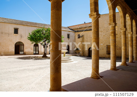 Palacio de los Enriquez de Ribera in Bornos, pueblos blancos region, Andalusia, Spain, Europe 111507129