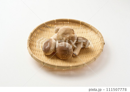 ざるにのったしいたけ 111507778