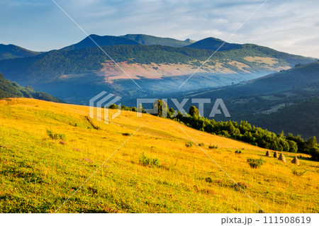 carpathian countryside scenery on a sunny summer morning. grassy rural field on the hill. mountain range in the distance 111508619