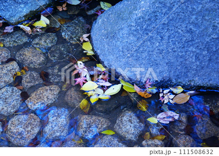 カラー　流れ　川　透明　透過　（2024年2月登録） 111508632