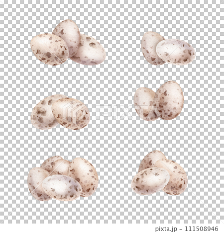 Three quail eggs shell. Symbols of Easter for design. Watercolor hand drawn painting illustration isolated on a white background. Set of pastel color eggs illustrations in minimalist style. Three quail eggs shell. Symbols of Easter for design. Watercolor hand drawn painting illustration isolated on a white background. Set of pastel color eggs illustrations in minimalist style. 111508946