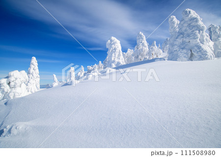 冬の森吉山　樹氷平の絶景　秋田県 111508980