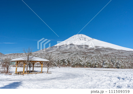 水ヶ塚公園からの富士山 雪景色 富士山二合目 水ヶ塚公園からの富士山 雪景色 富士山二合目 111509359