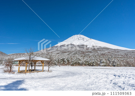 水ヶ塚公園からの富士山 雪景色 富士山二合目 水ヶ塚公園からの富士山 雪景色 富士山二合目 111509363