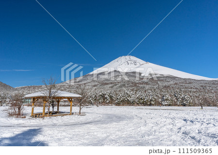 水ヶ塚公園からの富士山　雪景色　富士山二合目 111509365