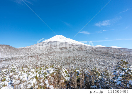 水ヶ塚公園の腰切塚展望台からの富士山 雪景色 富士山二合目 水ヶ塚公園の腰切塚展望台からの富士山 雪景色 富士山二合目 111509495