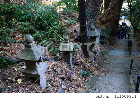 松崎雲見浅間神社 8 130段の石段 松崎雲見浅間神社 8 130段の石段 111509511