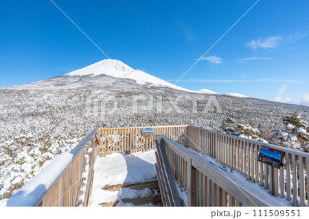 水ヶ塚公園より徒歩数分で行ける絶景　腰切塚展望台からの富士山　雪景色　富士山二合目 111509551