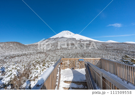 水ヶ塚公園の腰切塚展望台からの富士山　冬景色　富士山二合目 111509558