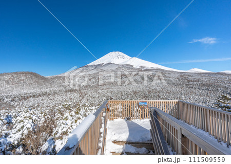 水ヶ塚公園の腰切塚展望台からの富士山　雪景色　富士山二合目 111509559