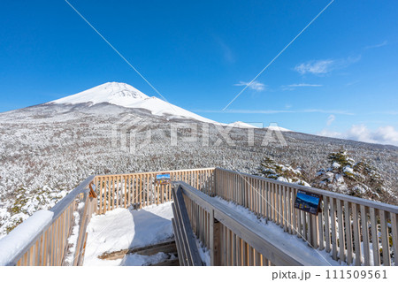 水ヶ塚公園の腰切塚展望台からの富士山　雪景色　富士山二合目 111509561