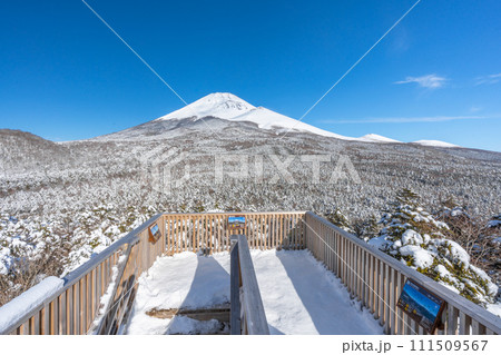 水ヶ塚公園の腰切塚展望台からの富士山　雪景色　富士山二合目 111509567