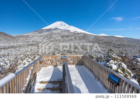 水ヶ塚公園の腰切塚展望台からの富士山　雪景色　富士山二合目 111509569