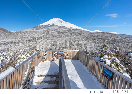 水ヶ塚公園の腰切塚展望台からの富士山 雪景色 富士山二合目 水ヶ塚公園の腰切塚展望台からの富士山 雪景色 富士山二合目 111509571
