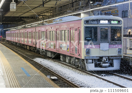 京王線 京王電鉄 動物園線 雪の日 雪 無人 京王帝都電鉄 多摩動物公園ラッピング 京王線 京王電鉄 動物園線 雪の日 雪 無人 京王帝都電鉄 多摩動物公園ラッピング 111509601