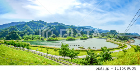 春の宮ヶ瀬湖畔園地　神奈川県 111509609