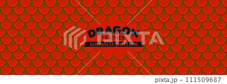 Dragon scale seamless pattern. Seamless texture background 111509687