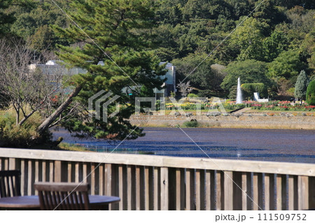 秋の兵庫県立フラワーセンター(兵庫県加西市)の池辺のテラスからの風景 秋の兵庫県立フラワーセンター(兵庫県加西市)の池辺のテラスからの風景 111509752
